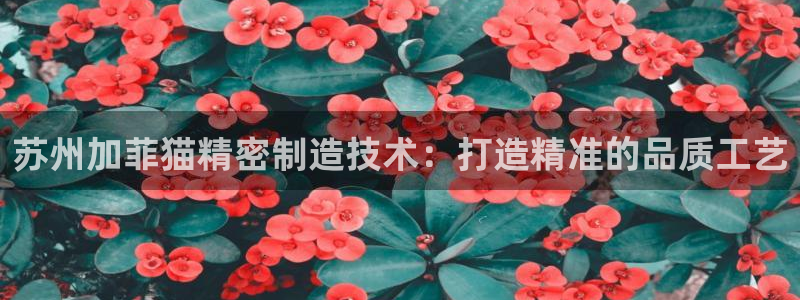彩神ix官网是哪个公司的