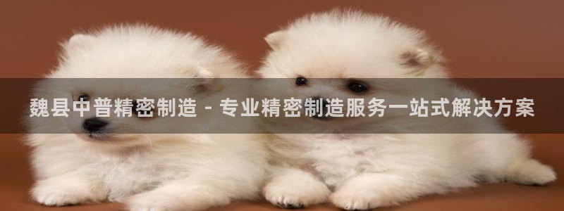 彩神velcome购彩大厅