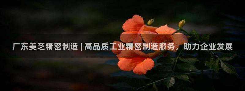 彩神iv争霸购彩大厅