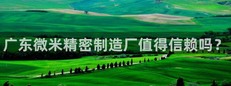 彩神网合法吗