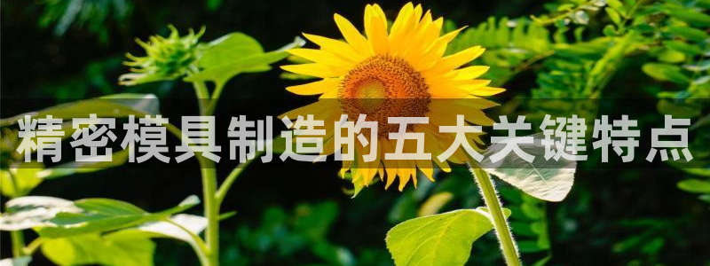 彩神争霸官方下载