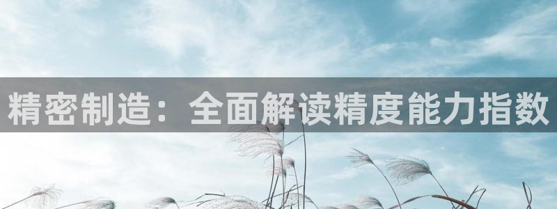 新版彩神v8登录