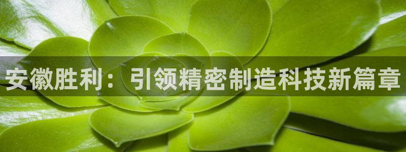 彩神数码科技有限公司