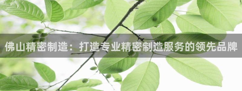 彩神vip购彩大厅下载
