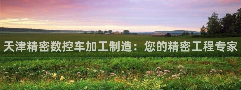 彩神v8手机客户端怎么下载