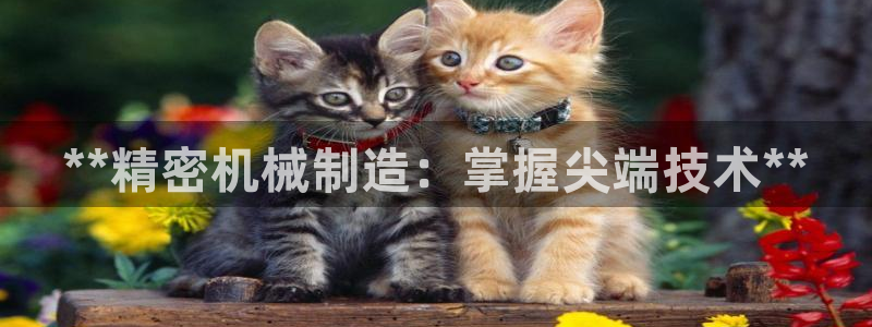 新版彩神v8登录