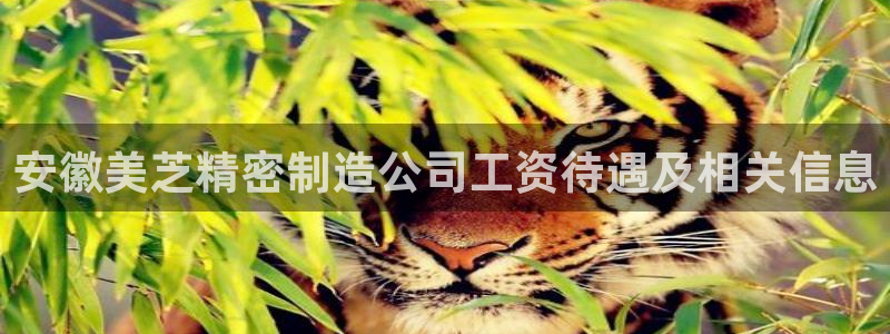 彩神这个平台是真的吗