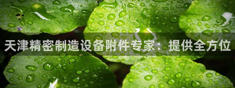 彩神到底能不能赚钱