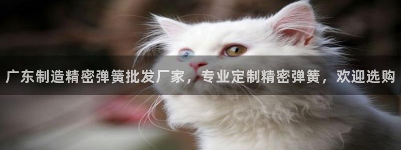 彩神v违法么