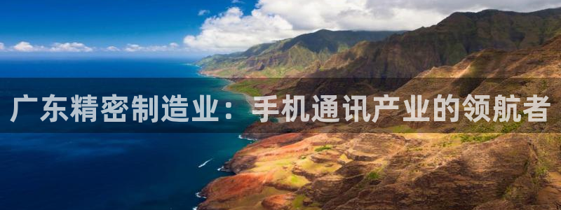 彩神网官网登录