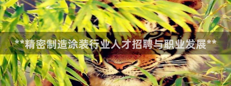 彩神是什么平台的游戏