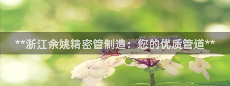 彩神v8有多久了?靠谱吗