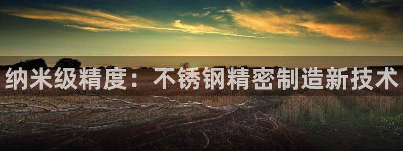 彩神v8是真的挣钱吗知乎：纳米级精度：不锈钢精密制造新技术