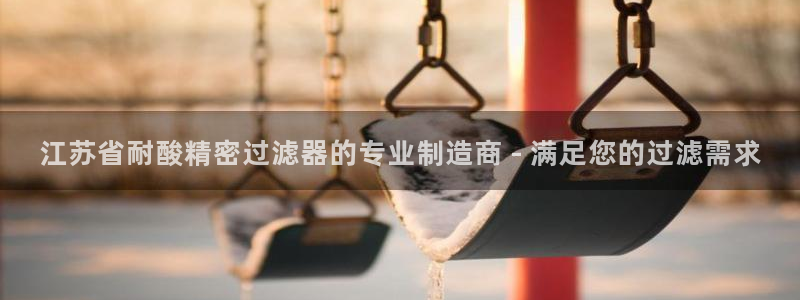 彩神8app官方下载：江苏省耐酸精密过滤器的专业制造商 - 满足您的过滤需求