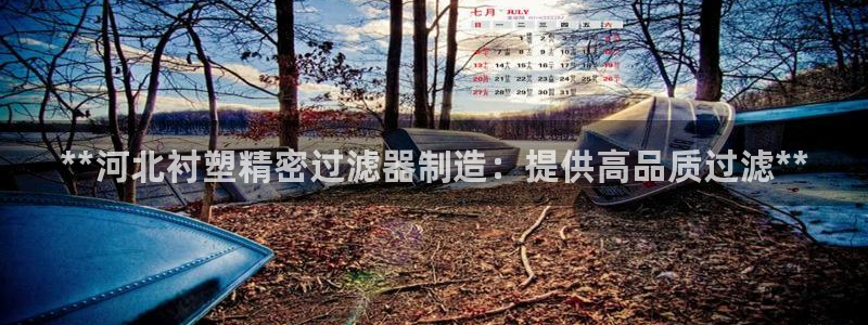 彩神旗下有哪些平台可以看：**河北衬塑精密过滤器制造：提供高品质过滤**
