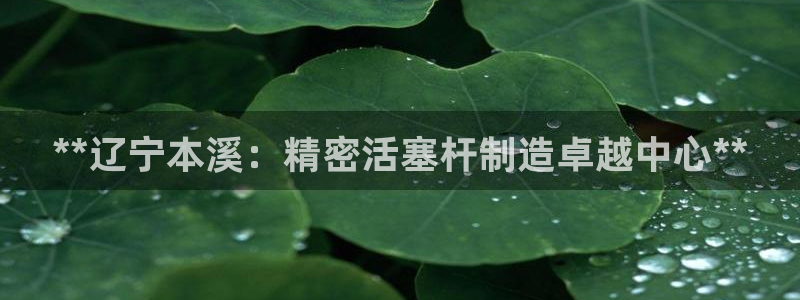 所有彩神购买首页中心：**辽宁本溪：精密活塞杆制造卓越中心**