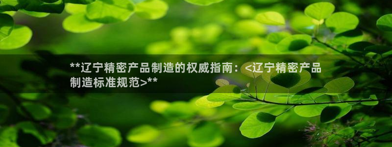 彩神8是正规平台吗知乎：**辽宁精密产品制造的权威指南：<辽宁精密产品
制造标准规范>**