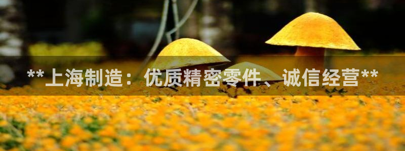 彩神争霸官方登录：**上海制造：优质精密零件、诚信经营**