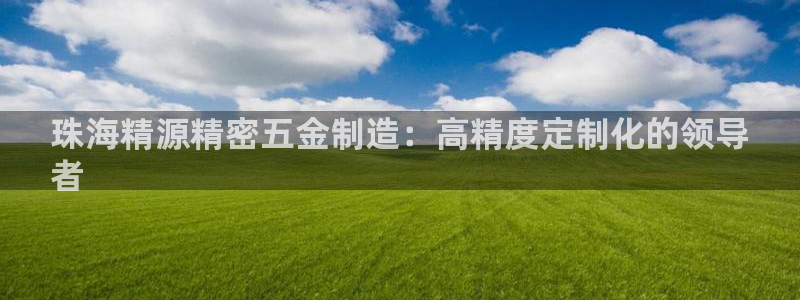 彩神平台是什么套路：珠海精源精密五金制造：高精度定制化的领导
者
