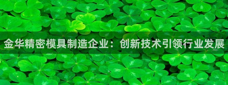 下载彩神乐发V：金华精密模具制造企业：创新技术引领行业发展
