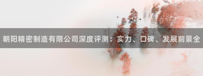 彩神平台之间是什么关系：朝阳精密制造有限公司深度评测：实力、口碑、发展前景全