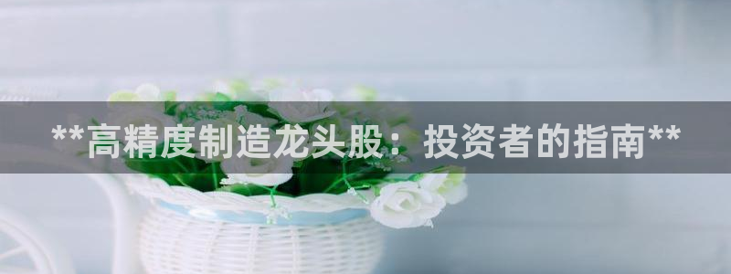 彩神V购彩大厅：**高精度制造龙头股：投资者的指南**