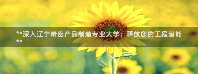 彩神V购彩大厅：**深入辽宁精密产品制造专业大学：释放您的工程潜能
**