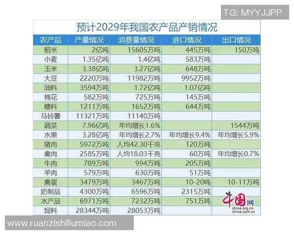 深圳排球队近期状态分析与未来发展展望